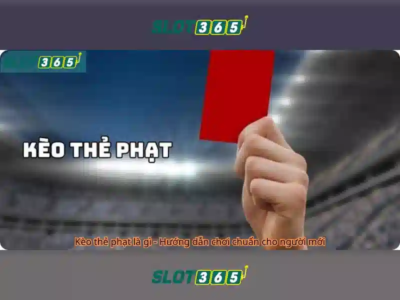 Cảm nhận cộng đồng VIP slot365 